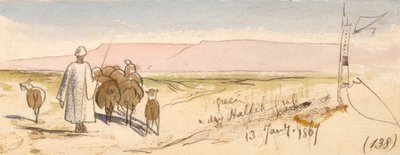 Erba secca di Halfeh da Edward Lear